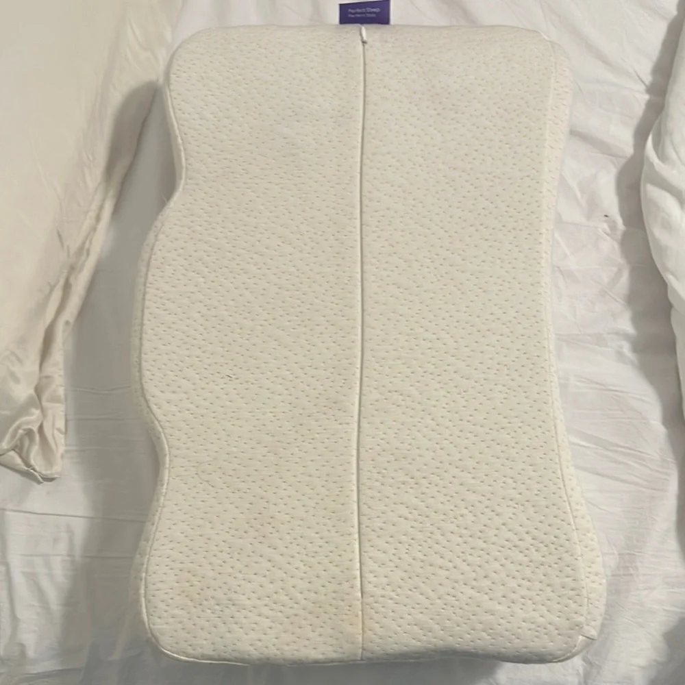 Beauty Pillow with Skin and Pillow case
